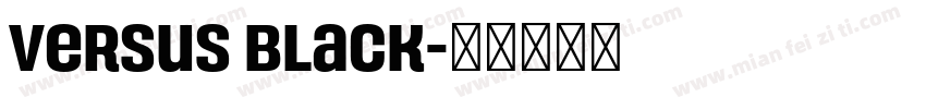 Versus Black字体转换